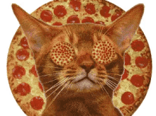 Pizza Hypnotize GIF - Pizza Hypnotize I Love Pizza GIFs