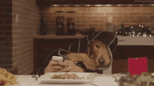 Dog Family Reunion - Reunion GIF - Dog Reunion Dogs Dinner Table GIFs