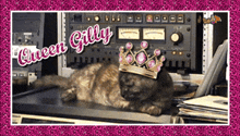 a cat wearing a tiara with the words queen gilly written above it