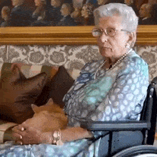 an elderly woman in a wheelchair holding a cat .