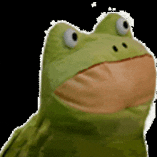 a green stuffed frog with white eyes and an orange beak