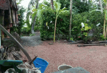 a blue bucket sits in the middle of a dirt area