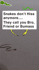 a sign that says snakes do n't hiss anymore they call you bro friend or bumass