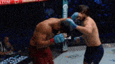 two men are fighting in a cage with a corona advertisement in the back