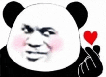 a panda bear is making a heart with its hands .