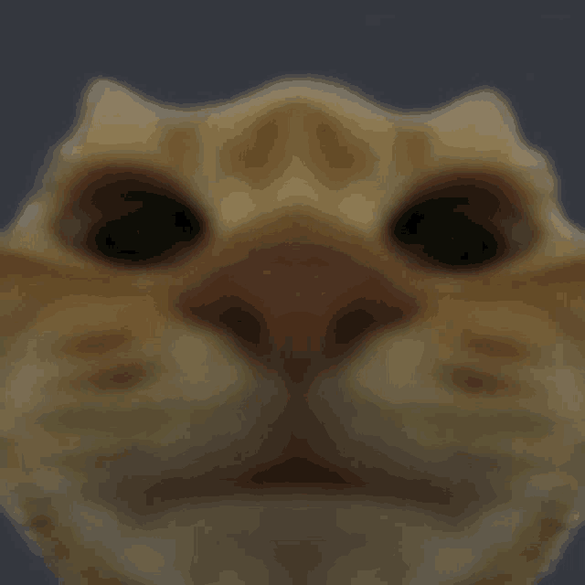 Classovatrash gif classovatrash gif 