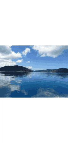 Fishing Charters Whitsundays Private Boat Charters GIF - Fishing Charters Whitsundays Private Boat Charters GIFs