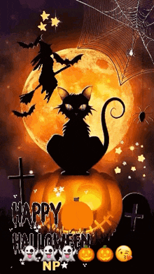 a black cat is sitting on top of a pumpkin with a witch on a broom in the background .