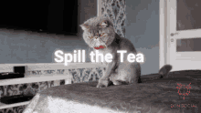 Spill The Tea Spill The Tea Sis GIF - Spill The Tea Spill The Tea Sis Tea GIFs