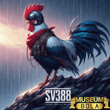 a rooster wearing a helmet and scarf stands on a rock with the sv388 museum bola logo in the background