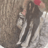 a woman with dreadlocks is standing next to a tree holding a can that says ' apocalypse ' on it