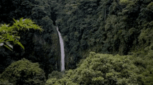 Waterfall Vally GIF - Waterfall Vally Forest GIFs
