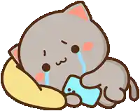 a cartoon cat is laying on a pillow and crying while holding a phone .