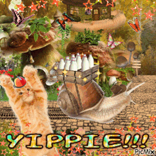 Yippie Milk GIF - Yippie Milk Kitty GIFs