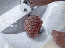 a person is washing a brain in a sink with the hashtag tiktok