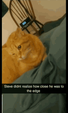 Steve The Cat Roll GIF - Steve The Cat Roll Fall GIFs
