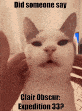 a picture of a cat with the words did someone say clair obscur expedition 33