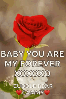 Baby You Are My Forever Heart GIF - Baby You Are My Forever My Forever Heart GIFs