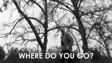 Where Do You Go Searching GIF - Where Do You Go Where Searching GIFs
