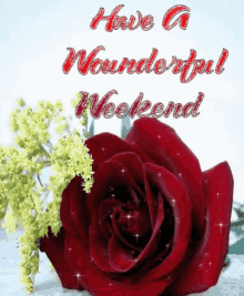 Have A Wonderful Weekend Rose GIF - Have A Wonderful Weekend Rose Boulenin GIFs