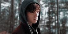 a young man wearing a hoodie is standing in a forest .