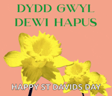 Dyddgwyldewi Stdavids GIF - Dyddgwyldewi Stdavids Wales GIFs