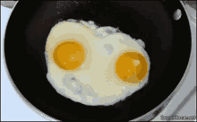 Egg Egg Face GIF
