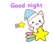 good night goodnight sleep