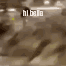 Hi Bella GIF