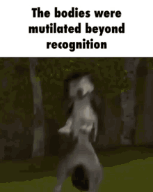 The Bodies Were Mutilated Beyond Recognition Dumbsville GIF - The Bodies Were Mutilated Beyond Recognition The Bodies Dumbsville GIFs