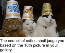 three cats are wearing cups on their heads .
