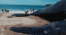 Ocean Whale GIF - Ocean Whale Wow GIFs