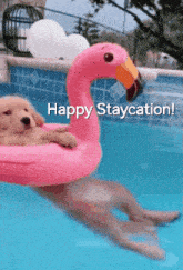 Vacation Staycation GIF