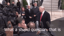 What A Stupid Question That Is You Ask A Lot Of Stupid Questions GIF - What A Stupid Question That Is What A Stupid Question You Ask A Lot Of Stupid Questions GIFs