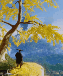 Looking Peace GIF