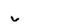 a group of bats are flying in the sky