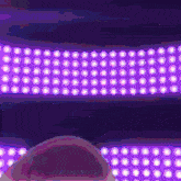 a person 's head is visible in front of purple lights