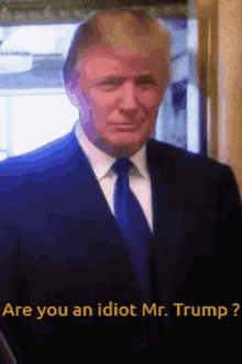 Trump Idiot GIF - Trump Idiot Idiot Trump GIFs