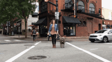 Girl Streetwalk GIF - Girl Streetwalk Dog GIFs