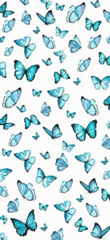 Butterfly Wallpaper GIF