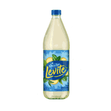 levit%C3%A9 juice
