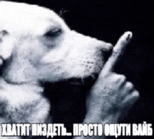 a black and white photo of a dog making a shhh gesture