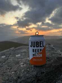 Jubel Beer GIF - Jubel Beer Sunset GIFs