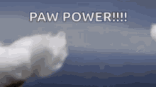 Paw Power Cat GIF - Paw Power Cat Paws GIFs