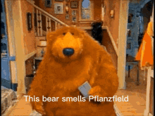 This Bear Smells This Bear Smells Pflanzfield GIF - This Bear Smells This Bear Smells Pflanzfield GIFs