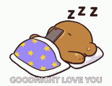 Goodnight Zzzzz GIF - Goodnight Zzzzz Lol GIFs