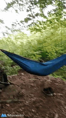 Camping Funny GIF - Camping Funny Sleep GIFs