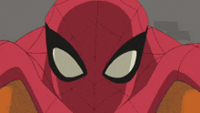 Spider Man Equestrian Webs GIF