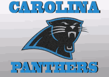 Carolina Panthers Go Panthers GIF - Carolina Panthers Go Panthers Lets Go Panthers GIFs