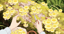 ♡〕𝚙𝚒𝚗𝚝𝚎𝚛𝚎𝚜𝚝: 𝚖𝚊𝚝𝚌𝚑𝚊𝚋𝚞𝚗 | Aesthetic anime, Yellow  aesthetic, Ghibli
